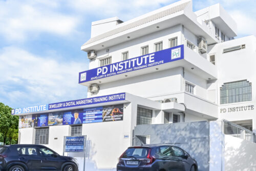 PD Institute